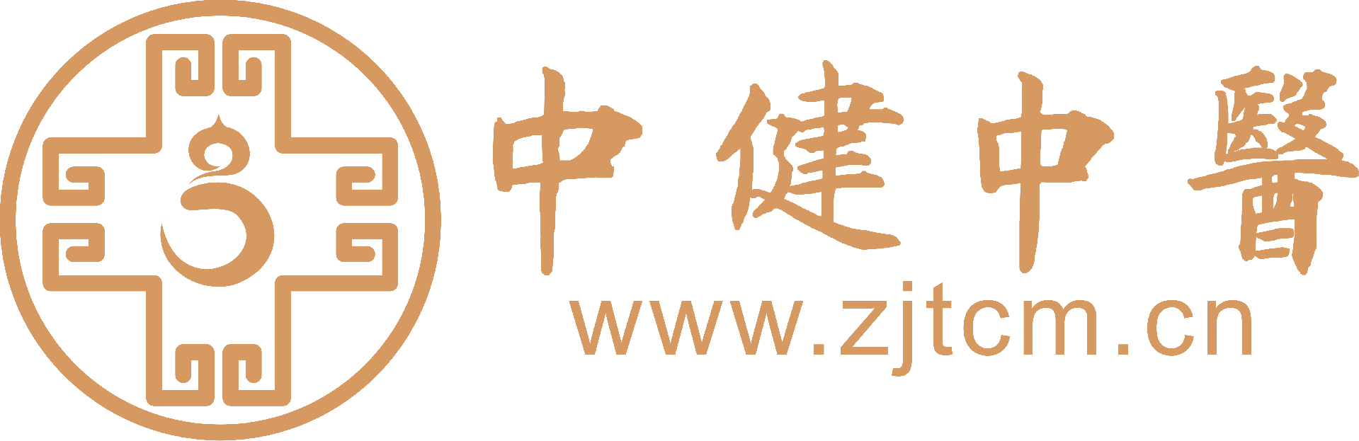 广州中健中医药科技有限公司
